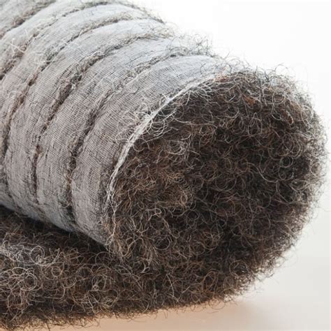  Cocose Fibers: Ontdek de Duurzame Vezels van de Kokosnoot!