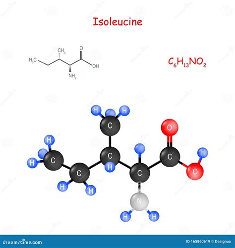 Isoleucine: Een essentiële aminozuur en cruciale bouwsteen voor plantaardige proteïnebronnen!